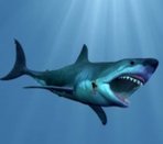   MegaLodoN